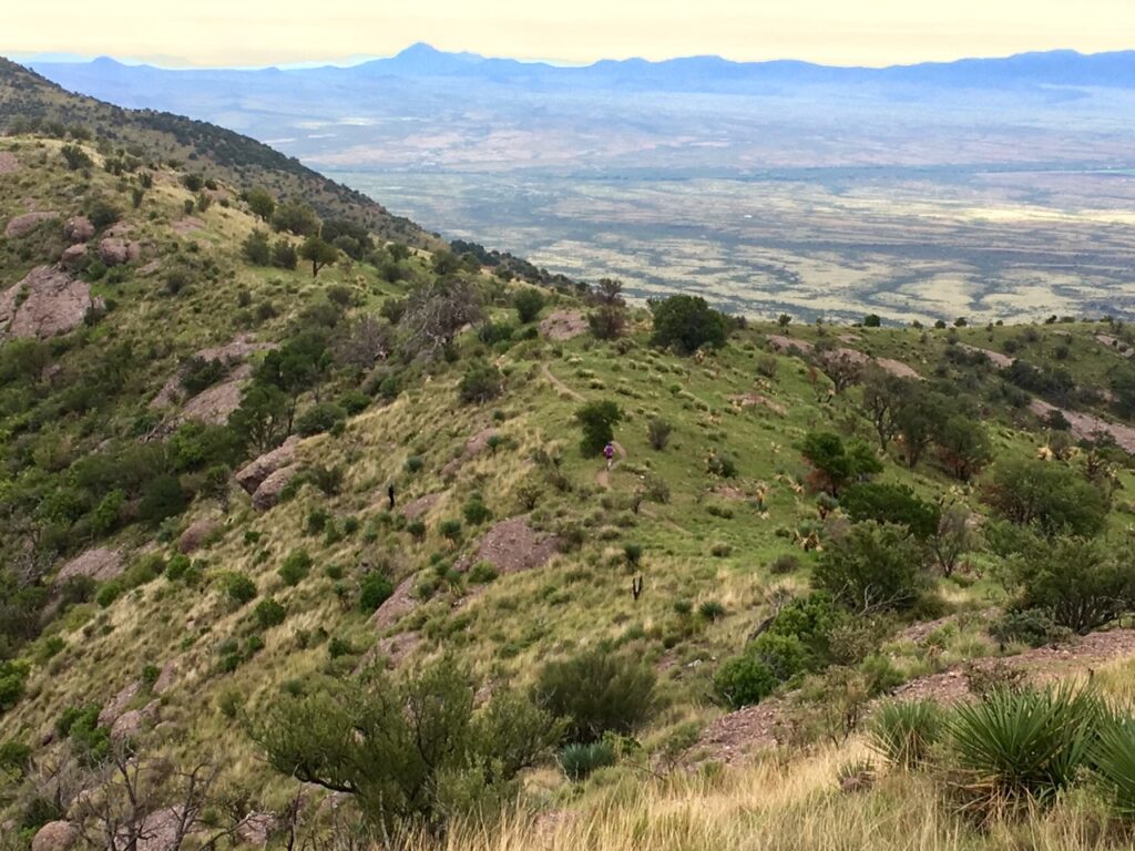 Grassy hills with scattered bushes and trees overlook a vast, flat valley with distant mountains under a cloudy sky.