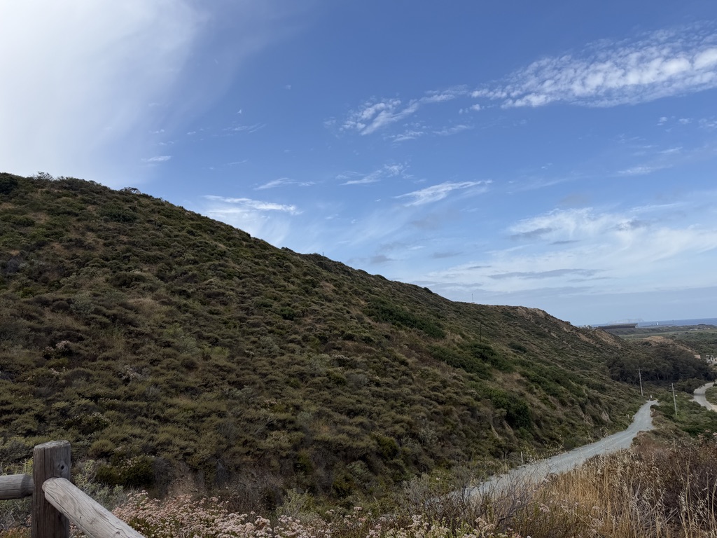A winding dirt road passes through a grassy hillside under a blue sky.